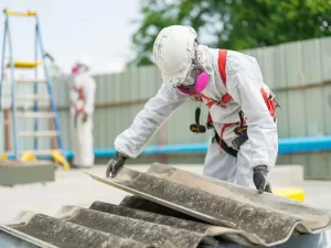 The Essentials of an Asbestos Management Survey