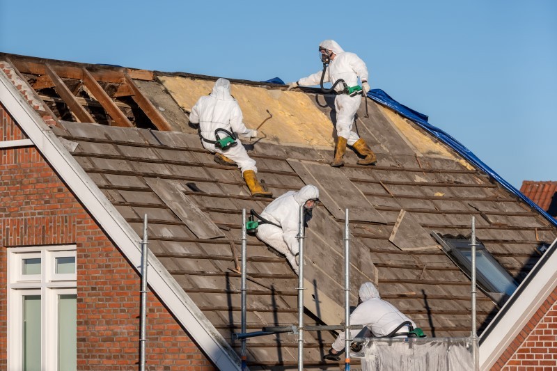 How Much Do Asbestos Survey Cost?